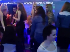 Foxy girls get absolutely foolish and undressed at hardcore party