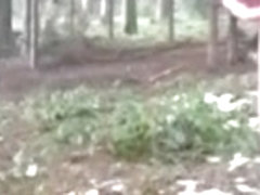 Gerenau wald schweiz im winter